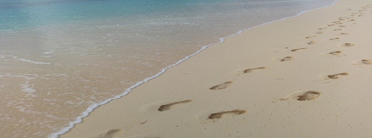 沙滩上的腳印